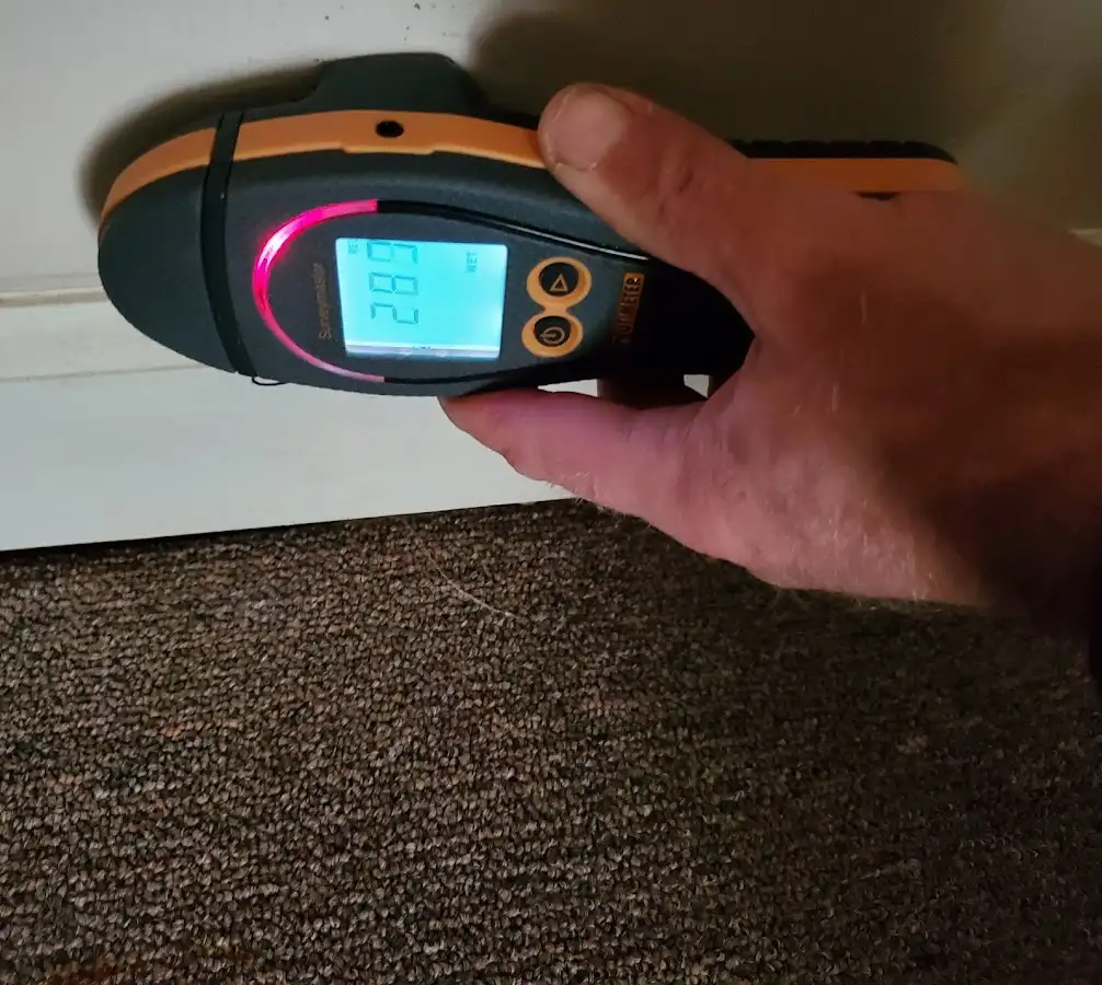 Moisture detection at baseboard during Mold Inspection & Testing in Delhi
